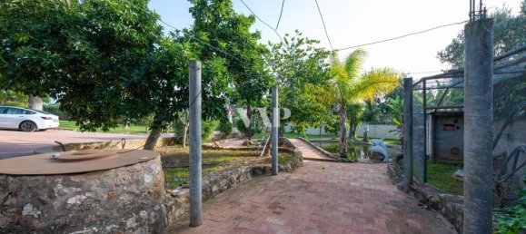 5 bedrooms Villa in Loule, Portugal No. 123590 46