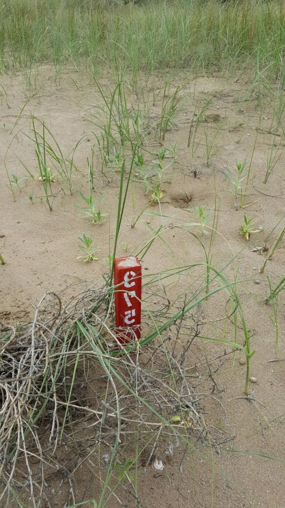 Terreno en Mar del Plata, Argentina No. 114663