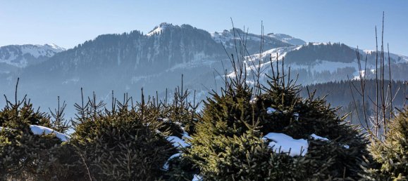 5غرفة منزل في Kitzbuhel, Austria رقم 117055 7