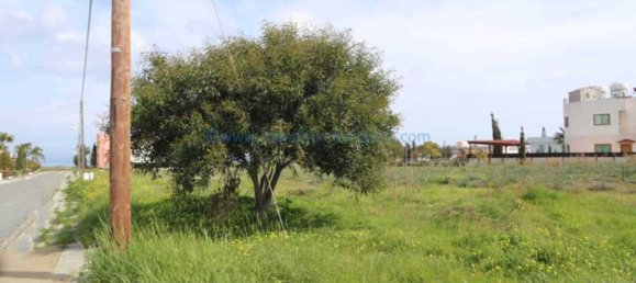 Земельный участок в Паралимни, Кипр № 24123 3