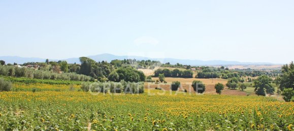 14 rooms House in Foiano della Chiana, Italy No. 136932 22