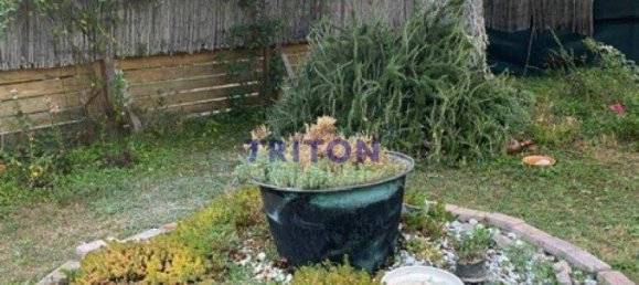 Бунгало с 2 комнатами в Нойфельд ан дер Лайта, Австрия № 146381 23