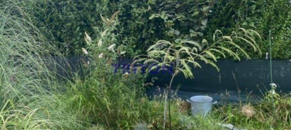 Бунгало с 2 комнатами в Нойфельд ан дер Лайта, Австрия № 146381 24