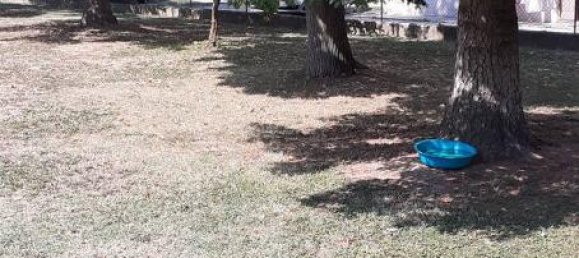 1 room Land in Mirandola, Italy No. 151069 10