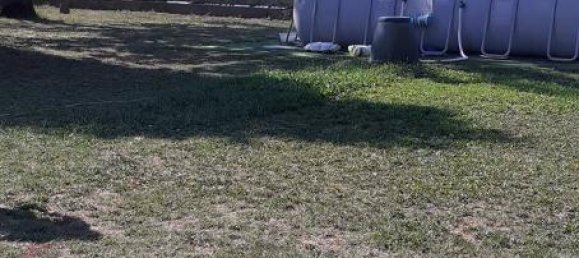 1 room Land in Mirandola, Italy No. 151069 15