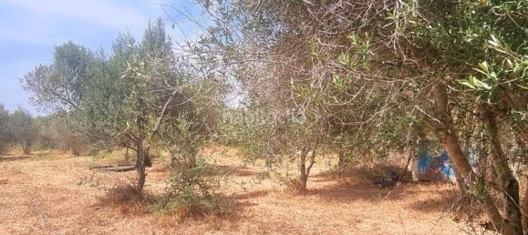 5 غرف نوم منزل في Vinaros, Spain رقم 154823 3