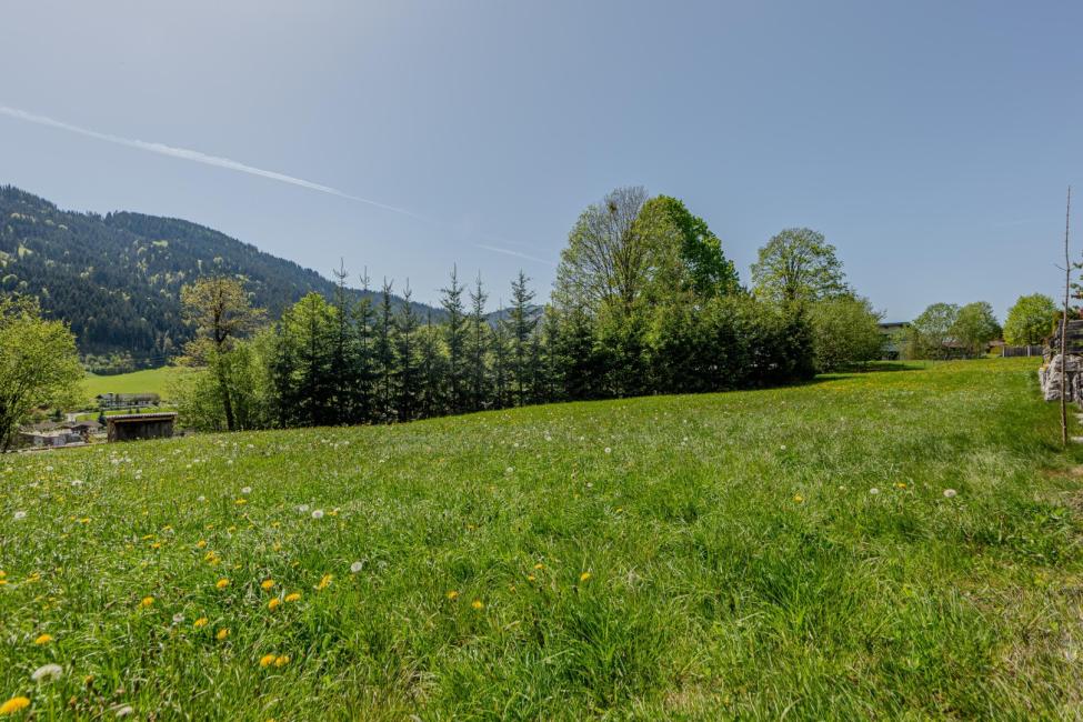 Земельный участок в Гойнг ам Вильден Кайзер, Австрия № 58444