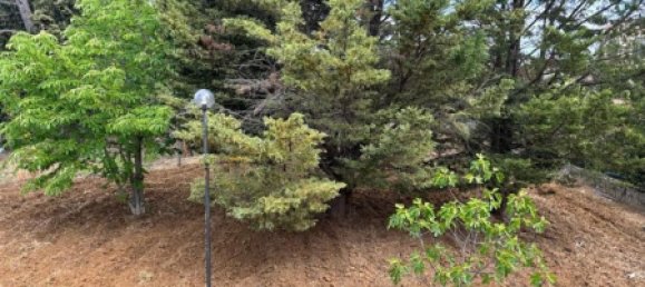 7 rooms Villa in Piazza Armerina, Italy No. 251849 4