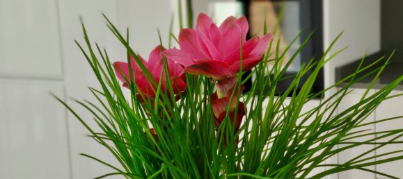 Вилла с 3 спальнями в Ла Альберка, Испания № 9639 14