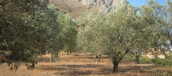  Hotel in Attica, Greece No. 473 3