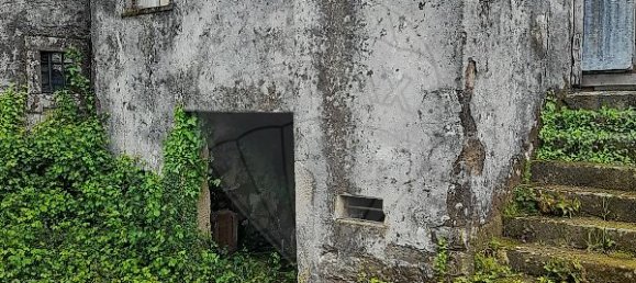 3 bedrooms House in Macieira de Cambra, Portugal No. 46606 3