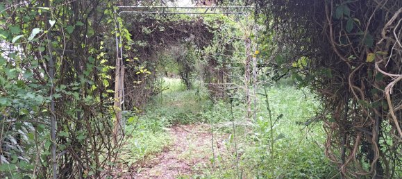 Casa T5 em Charente-Maritime, France N.º 347564 18