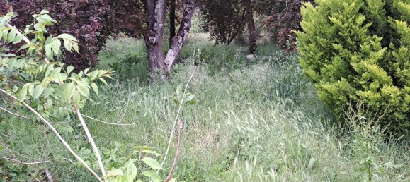 Casa T5 em Charente-Maritime, France N.º 347564 17