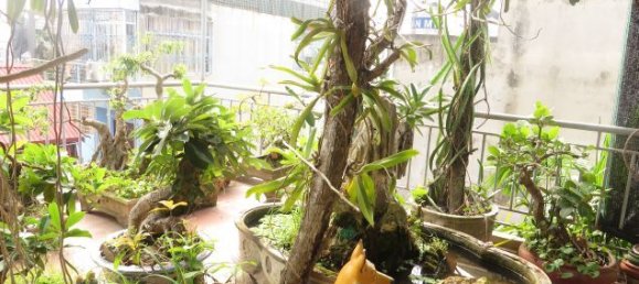 4 bedrooms House in Tay Ho, Vietnam No. 4747 24