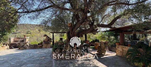 5 chambres Villa à Olbia, Italy No. 361737 24