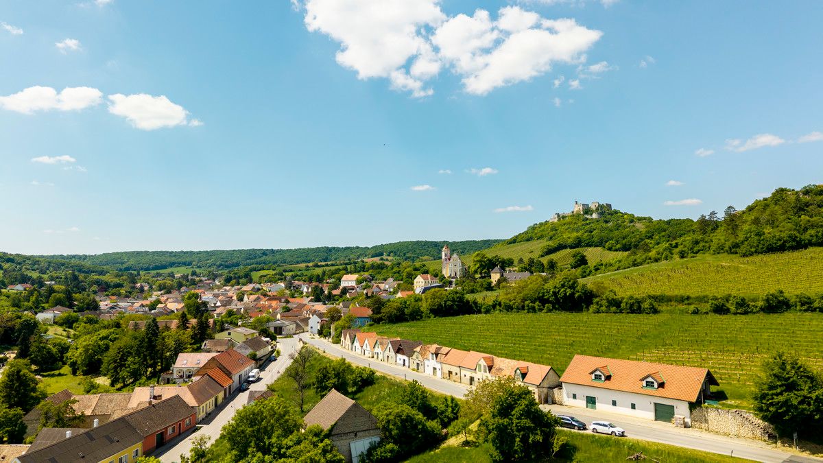  فندق في Falkenstein, Austria 165متر مربع رقم 135168