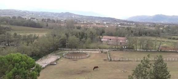 7 bedrooms Villa in Dugenta, Italy No. 79171 18