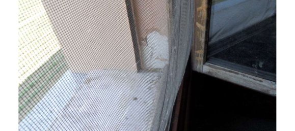 3-Zimmer Wohnung in Finale Emilia, Italy, Nr. 95951 30