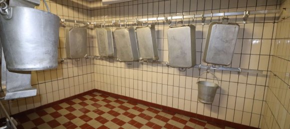 Imóvel comercial T3 em Pirmasens, Germany N.º 85639 24