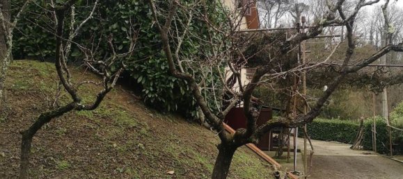 3-Zimmer Haus in San Giovanni Valdarno, Italy, Nr. 226031 10