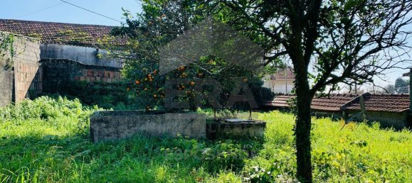 3 Schlafzimmer Haus in Esposende, Portugal, Nr. 147471 21