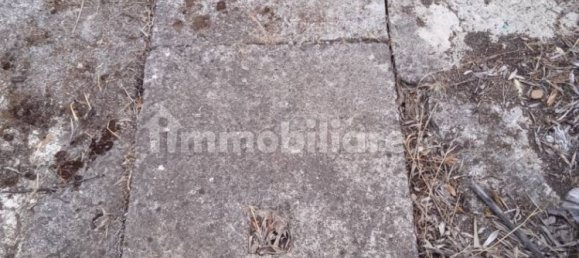 1 bedroom Villa in Cefalù, Italy No. 320568 28