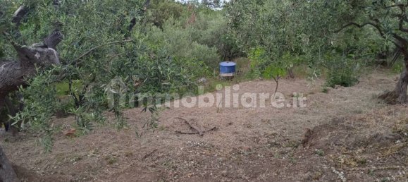 1 bedroom Villa in Cefalù, Italy No. 320568 38