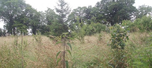 3 bedrooms House in Joncreuil, France No. 300025 9