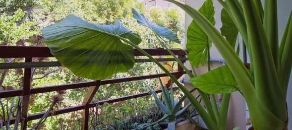 4-salle Appartement à Poggio Mirteto, Italy No. 203570 17