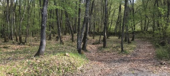 Casa de 3 habitaciónes en Bobbio, Italy No. 108723 12