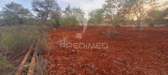 Земельный участок 1490м² в Лоле, Португалия № 41132 12