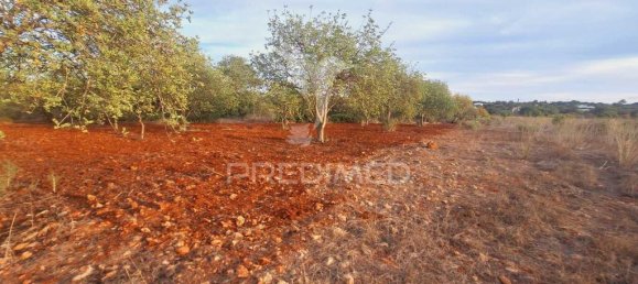 Земельный участок 1490м² в Лоле, Португалия № 41132 6