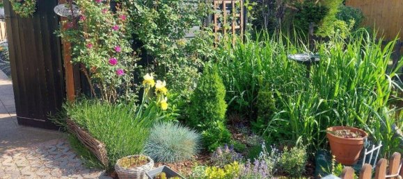 2 rooms House in Oggau am Neusiedler See, Austria No. 249476 7