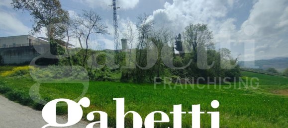 16020m² Land in Marche, Italy No. 344798 2