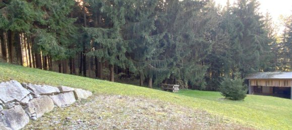 6 rooms House in Weisskirchen an der Traun, Austria No. 102413 17