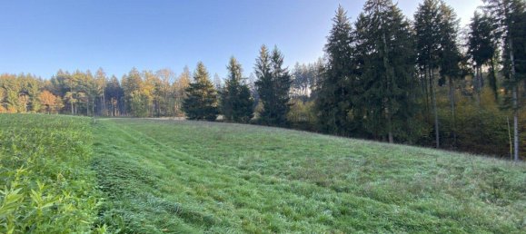 6 rooms House in Weisskirchen an der Traun, Austria No. 102413 18