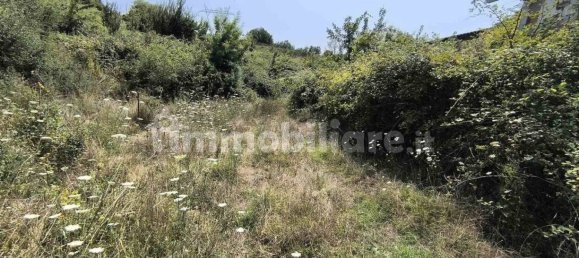 Terreno en Barberino di Mugello, Italy 1800 m² No. 374538 16