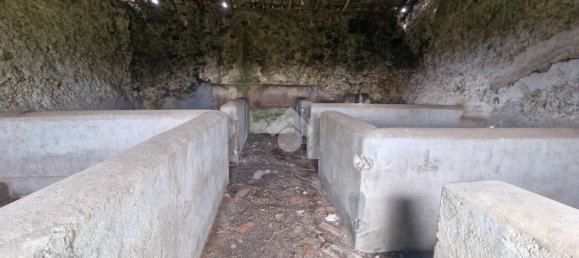 Casa de 1 dormitorio en Aci Sant'Antonio, Italy No. 338675 8