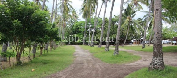 Terrain à West Nusa Tenggara, Indonesia 14000m² No. 4085 26