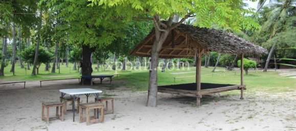 Terrain à West Nusa Tenggara, Indonesia 14000m² No. 4085 8