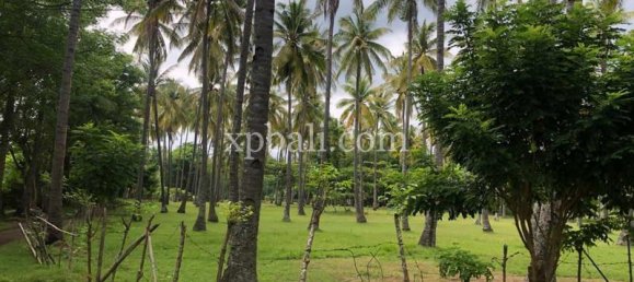 Terrain à West Nusa Tenggara, Indonesia 14000m² No. 4085 21