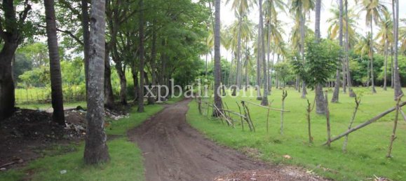 Terrain à West Nusa Tenggara, Indonesia 14000m² No. 4085 18