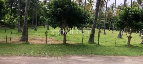 Terrain à West Nusa Tenggara, Indonesia 14000m² No. 4085 23