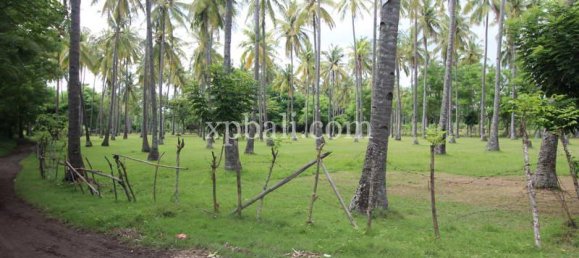 Terrain à West Nusa Tenggara, Indonesia 14000m² No. 4085 17