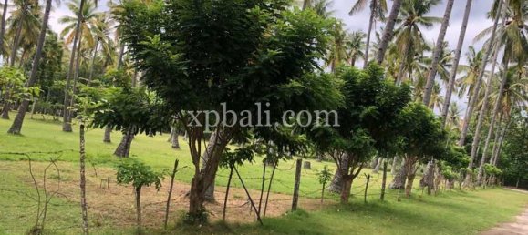 Terrain à West Nusa Tenggara, Indonesia 14000m² No. 4085 22