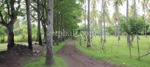 Terrain à West Nusa Tenggara, Indonesia 14000m² No. 4085 3