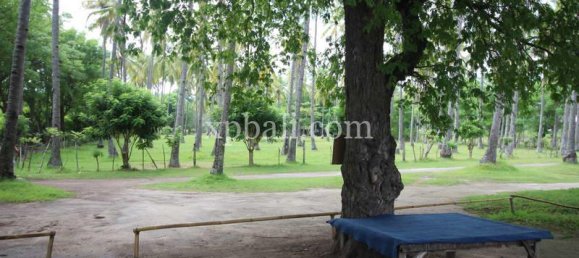 Terrain à West Nusa Tenggara, Indonesia 14000m² No. 4085 15