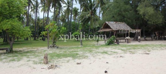 Terrain à West Nusa Tenggara, Indonesia 14000m² No. 4085 6