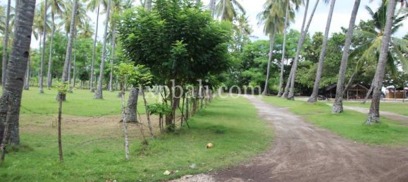 Terrain à West Nusa Tenggara, Indonesia 14000m² No. 4085 19