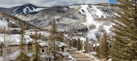 Bungalow de 3 dormitorios en Beaver Creek, USA No. 560315 28
